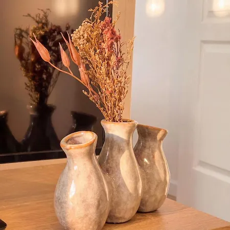 Apartamento L'ecrin Beige - Moderne - Portes De Strasbourg Schiltigheim